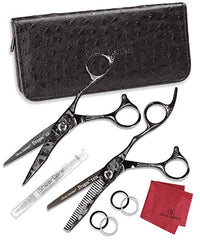 Olivia Garden Dragon Professional Hairdressing Shear and Thinner Intro Case